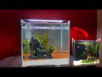 1 Feet Aquarium Tank 12x 6x 9 inch 3