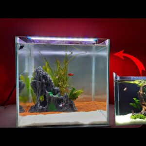 1 Feet Aquarium Tank 12x 6x 9 inch 3