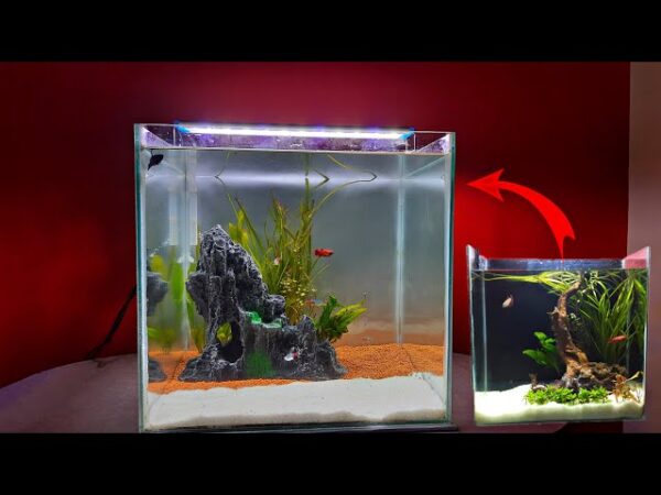 1 Feet Aquarium Tank 12x 6x 9 inch 3