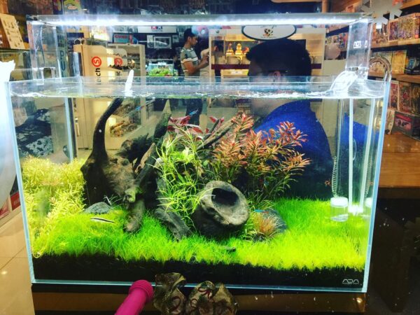 2.5 ft Aquarium Tank 30x12x15 Inches 1