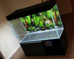 3 Feet Aquarium Tank 10mm Glass 6099