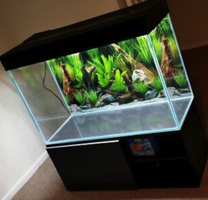 3 Feet Aquarium Tank 10mm Glass 6099