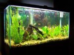 4 Feet Aquarium Tank 48x12x15 Inches