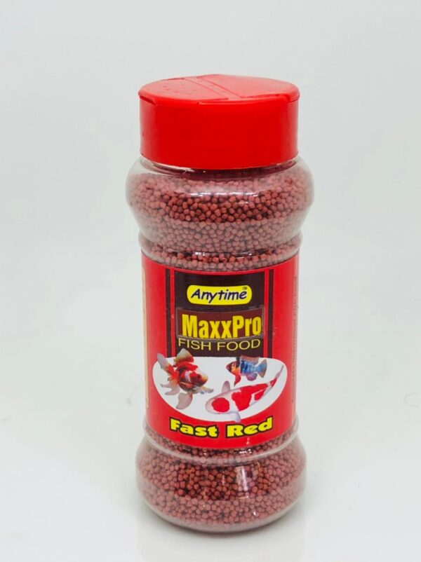 Anytime MaxxPro 100gms