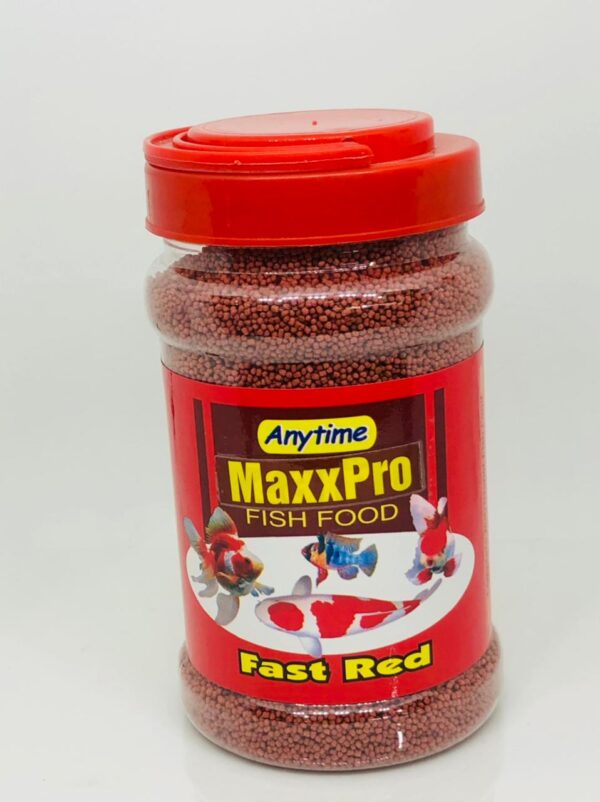 Anytime MaxxPro 330gms