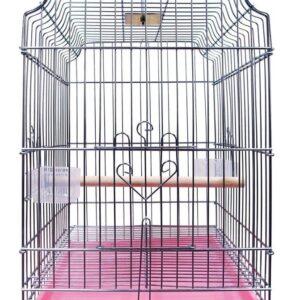 Bird Cage 2