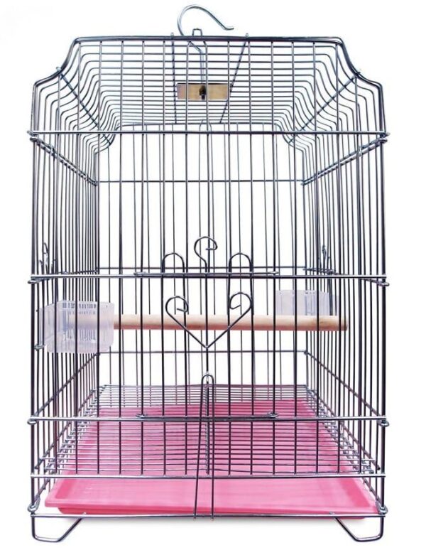 Bird Cage 2