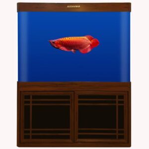 RS 100HF AQUARIUM SET 1050X380X900 MM 29500