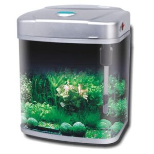 Rs electricals hot sale aquarium