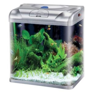 RS500B AQUARIUM ONLY SIZE 50X30X49 CM BLACKPINKBLUE 4050