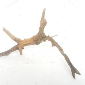 Aquarium driftwood a 150