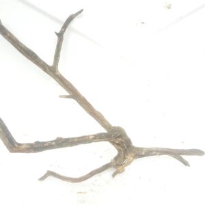 Aquarium driftwood bg 190