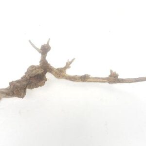 Aquarium driftwood d 150