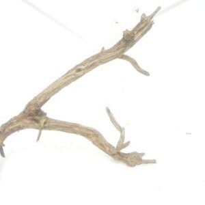 Aquarium driftwood e 150