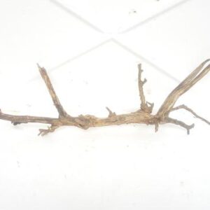 Aquarium driftwood f 190 1