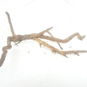 Aquarium driftwood h 180