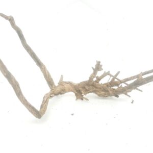 Aquarium driftwood hgd 190