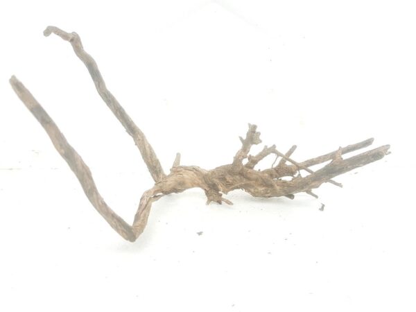 Aquarium driftwood hgd 190