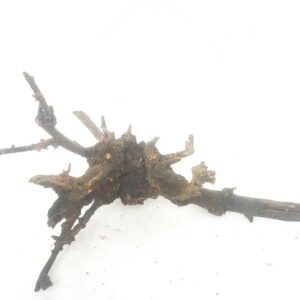 Aquarium driftwood hgf 150