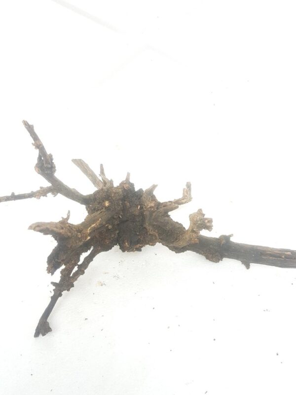 Aquarium driftwood hgf 150