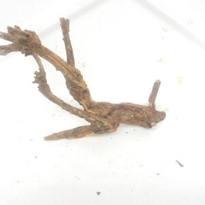 Aquarium driftwood hh 240