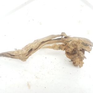 Aquarium driftwood hu 150