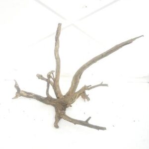 Aquarium driftwood i 150