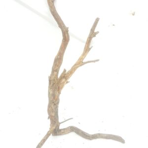 Aquarium driftwood jhg 150