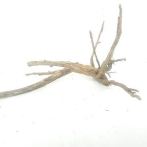 Aquarium driftwood l 150