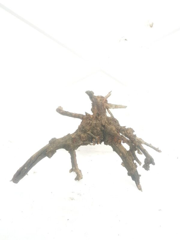 Aquarium driftwood lk 180