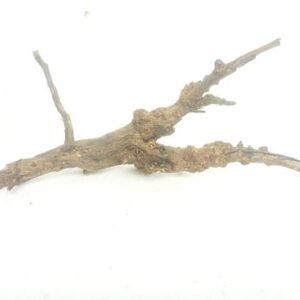 Aquarium driftwood lk 190