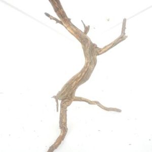 Aquarium driftwood n 150