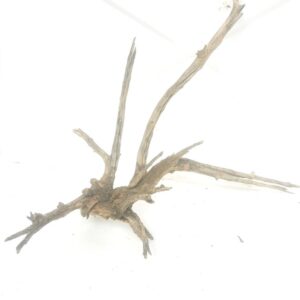 Aquarium driftwood nh 200