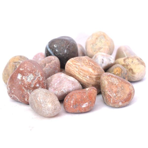 Foodie Puppies Natural Glossy Finish Attractive Quality Decorative Substrate Big Size Pebbles Stone for Aquarium Tank 900gm Mix Granite Stone