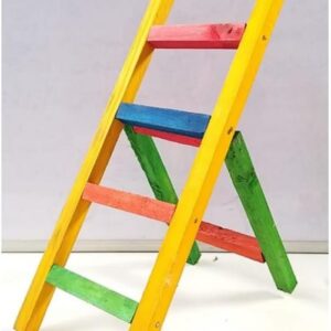 ladder big 15x5.5