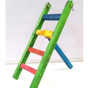 ladder medium 12x5 1