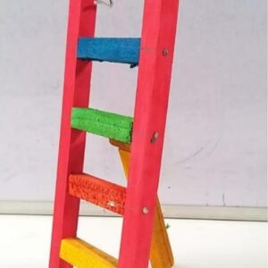 ladder small 8x4 1