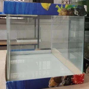 Curved Glass Aquarium Tank 60 cm 60 x 30 x 353 600x698 1