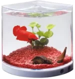 Dophin T201 Corner Pentagon Aquarium Tank 2